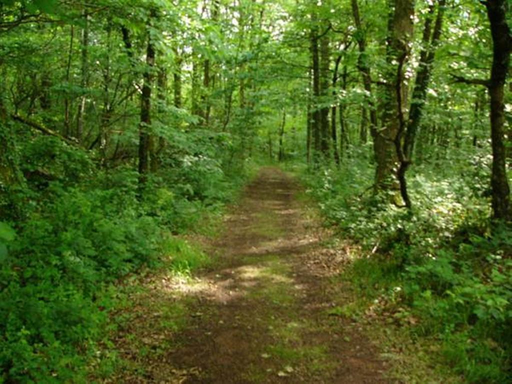 Farmstay Alpagaterie Juillac  Esterno foto